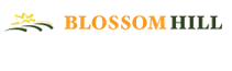 Blossom Hill Foundation